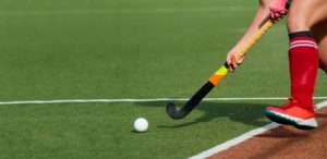 hockey bocha