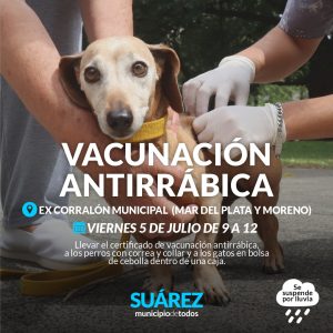 vacuna perro
