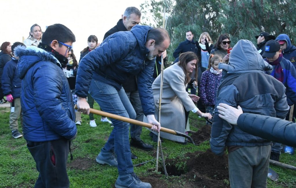 plantas forestacion