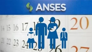 anses plan