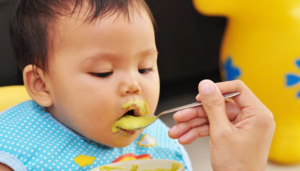 bebe comida