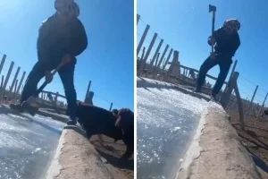 hielo rotura frio