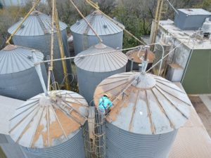 silos campo