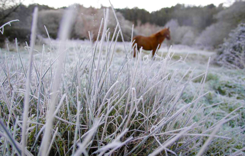 frio heladas