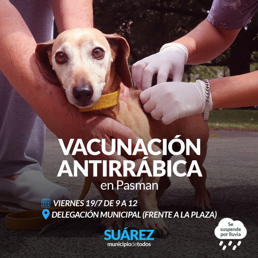 vacunas perros