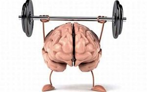 cerebro ejercicio