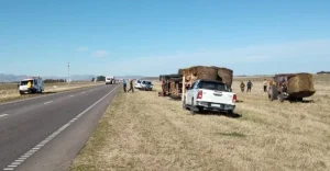vuelco camion ruta 33