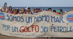 planta de GNL rio negro ley ambiental