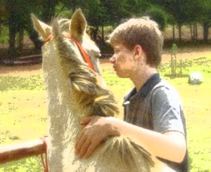 caballo chicos