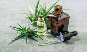 cannabis medicinal