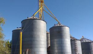 silos cereales productores