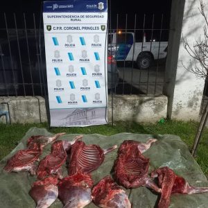Detuvieron a dos personas por faenar y robar 3 ciervos en una motocicleta