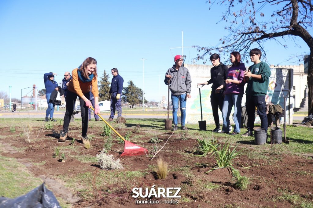 Ambiente: realizan plantaciones de especies nativas junto a EDES