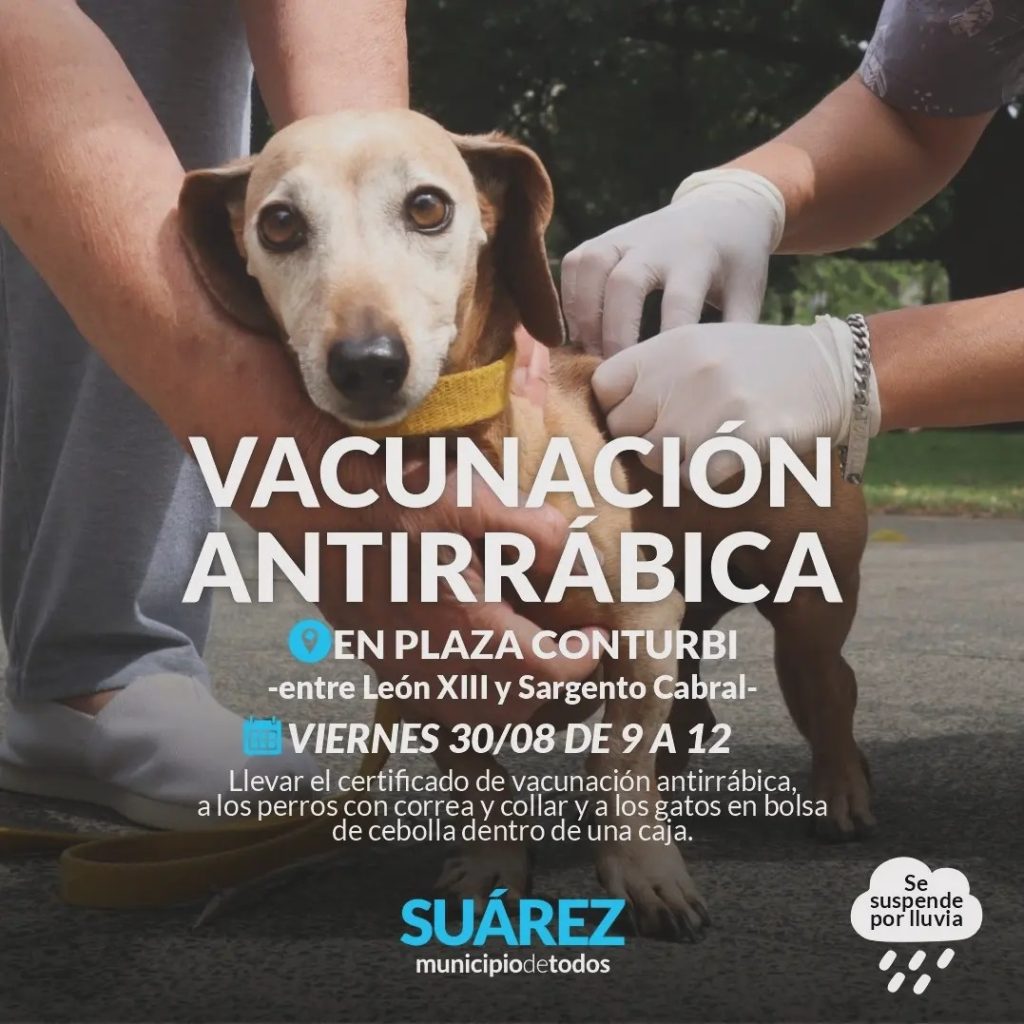 Este viernes campaña de vacunación antirrábica en la Plaza Conturbi