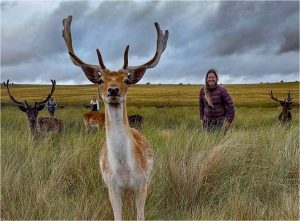 Paseo a un paso: avistaje de animales y caminatas bajo las estrellas