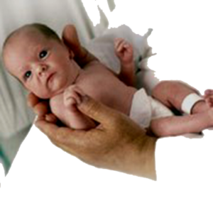 bebe