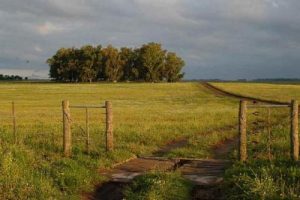 TRANQUERA CAMPO