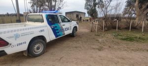Maltrato: Tres allanamientos tras video de peleas de perros con apuestas