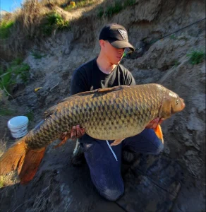 pesca carpa olavarria