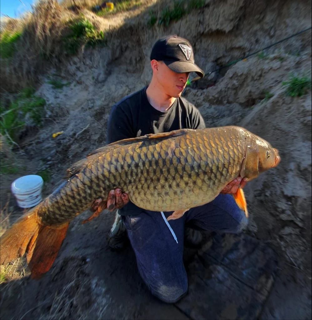 pesca carpa olavarria