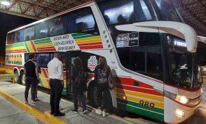 colectivo micro larga distancia