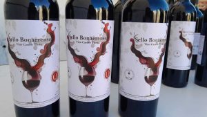 La Provincia de Buenos Aires tiene su primer vino de cepa propia