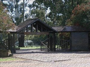 sociedad rural