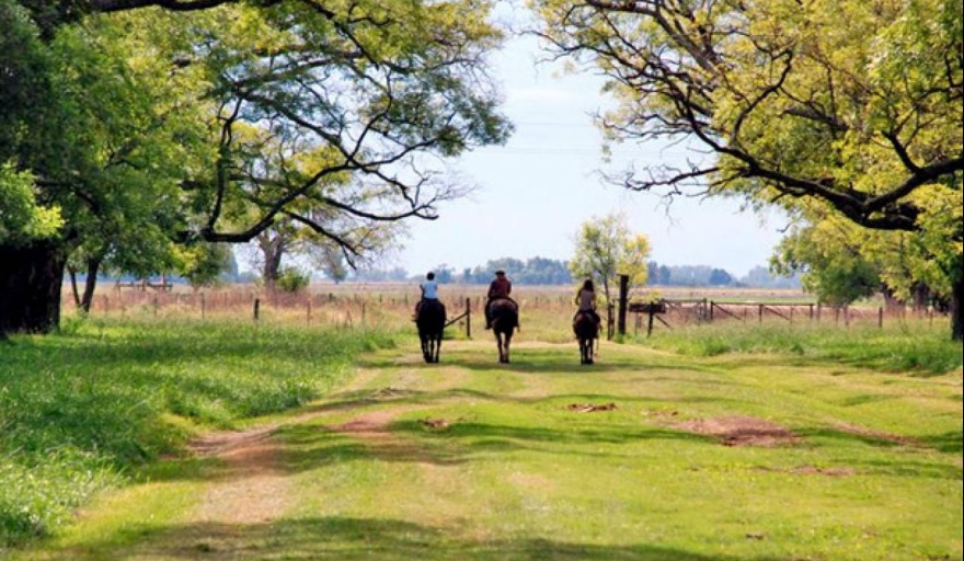 paseo campo