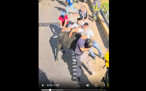 El vuelco de un camión y la lucha por sobrevivir en un duro video