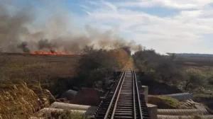 juicio ferrocarril