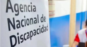 discapacidad