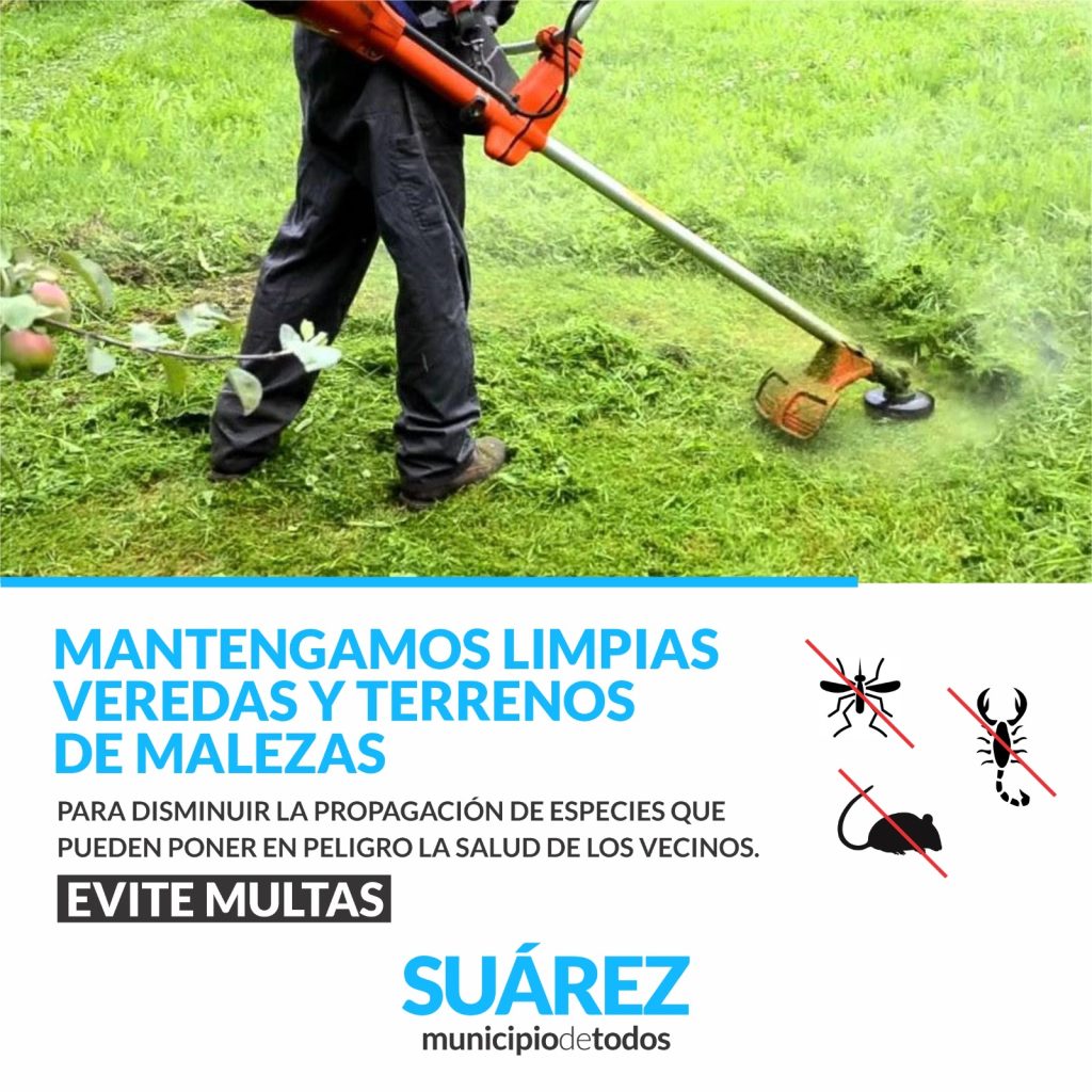 Limpieza de veredas y terrenos: un compromiso contra el dengue