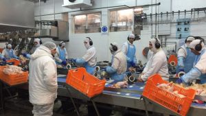 Granja Tres Arroyos, empresa líder, cierra su planta y despide 200 trabajadores