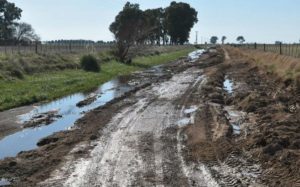 caminos rurales