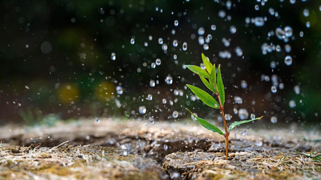 lluvia