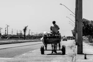 carro caballo