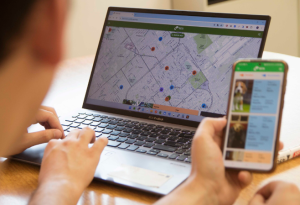Estudiantes desarrollaron BETA, una app para la búsqueda y adopción de mascotas