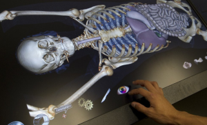 Forenses bonaerenses podrán contar con autopsias virtuales, menos invasivas