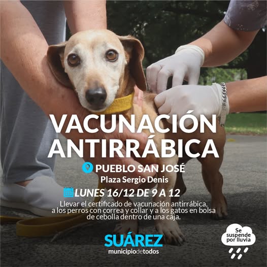 Campaña de vacunación antirrábica el lunes 16 de diciembre