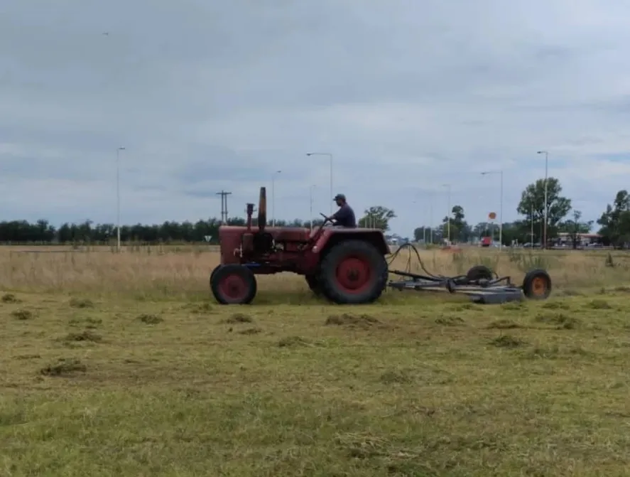 Pastos en banquinas, un problema nacional. Intendentes cortan y se quejan