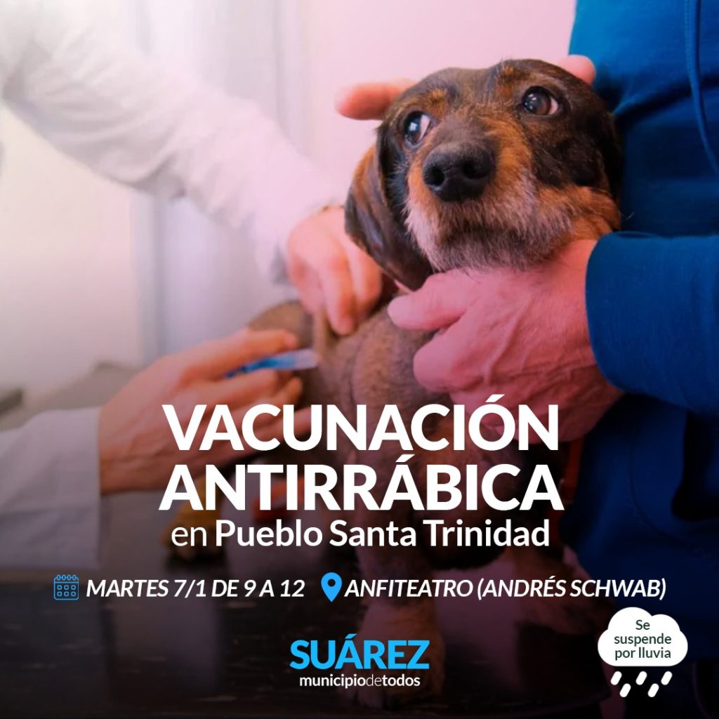 Realizan jornada de vacunación antirrábica el próximo dia 7 de enero