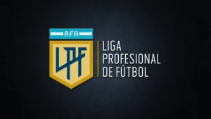 Liga profesional