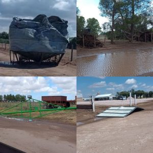 Hubo alerta y en algún lado dejó efectos: ahora en la colonia menonita