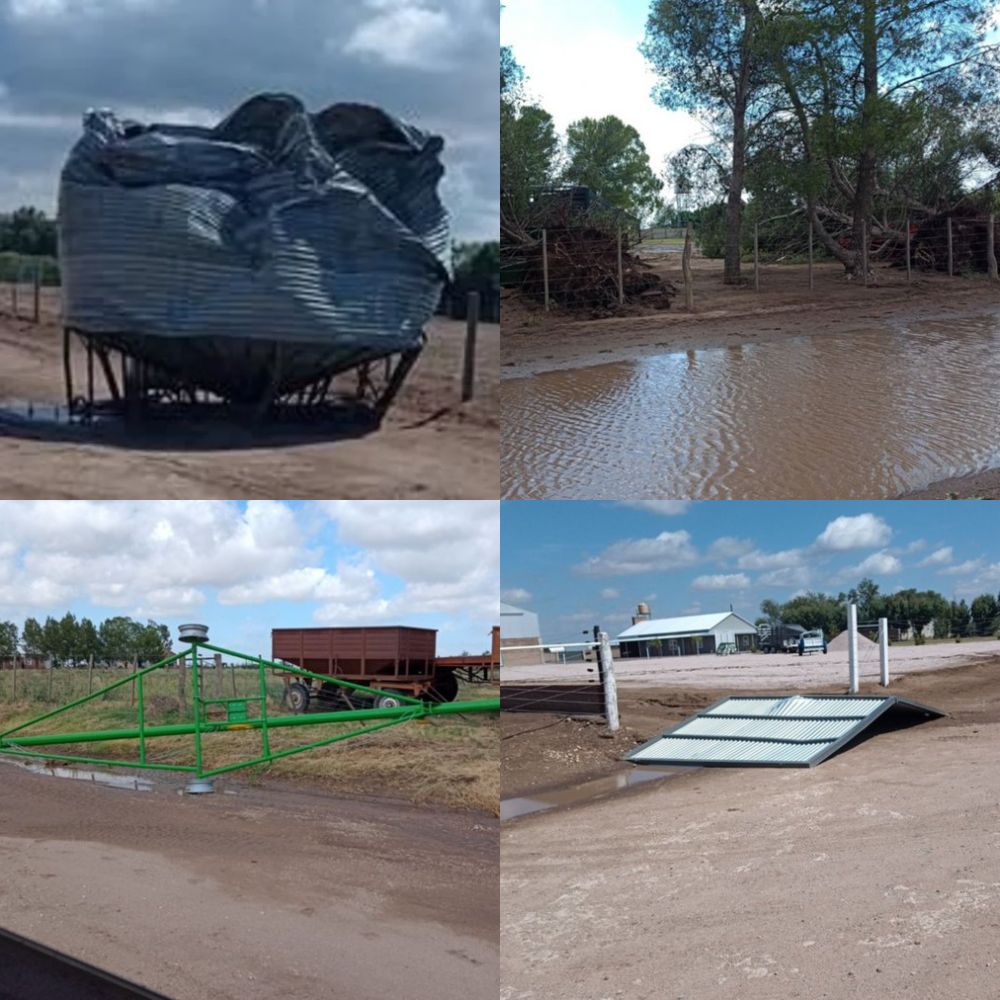 Hubo alerta y en algún lado dejó efectos: ahora en la colonia menonita