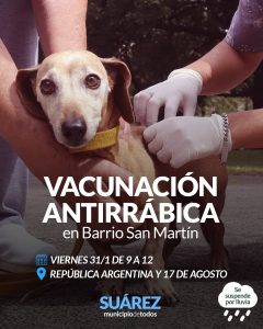 Campaña de vacunación antirrábica en un barrio de la ciudad, el viernes
