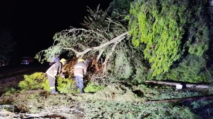 Fuerte temporal generó destrozos en Líbano en la noche de sábado a domingo