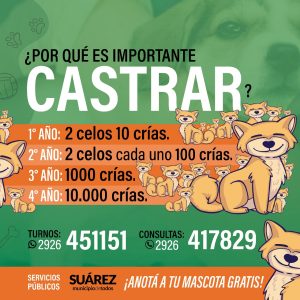 ¿Sabías que podés castrar a tu mascota de forma gratuita en Coronel Suárez?
