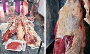 Dos meses de prisión en suspenso para un carnícero por faena clandestina