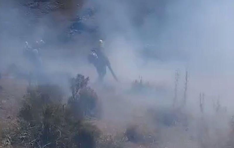 Por culpa del viento se reinició el fuego este mediodía en los cerros