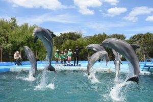 Tras casi 32 años el Aquarium Mar del Plata anuncia su cierre definitivo